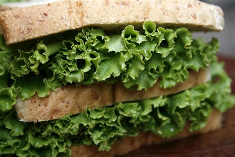 Lettuce on sandwich 1976012 Stock Photo at Vecteezy