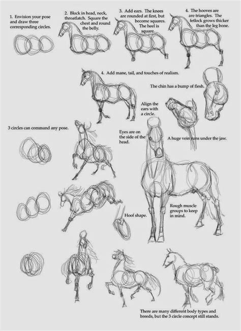 Art Blog for The Inspiration Place: how to draw a horse..