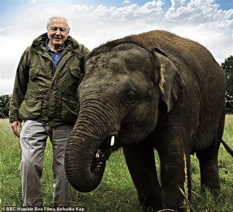 SIR DAVID ATTENBOROUGH reveals how those born today could witness sixth ...