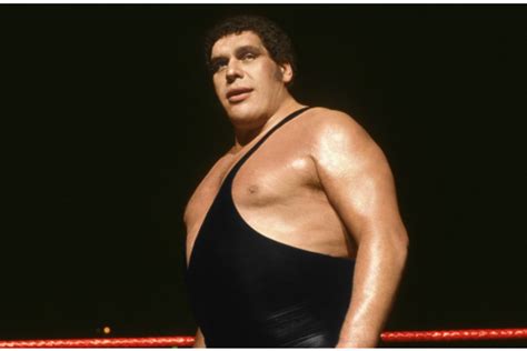 Trailer for 'Andre the Giant' HBO Documentary Drops | News, Scores ...