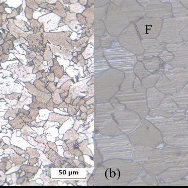 Microstructure of cryorolled low carbon steel AISI 1018 at various ...