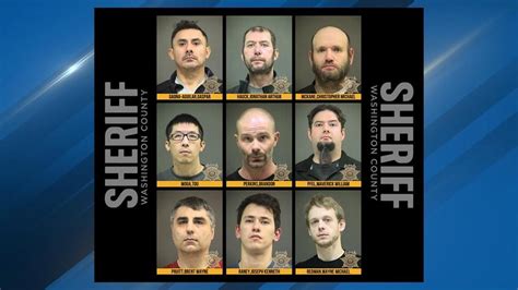 Washington County Sheriff's Office arrests 9 men in undercover child predator sting