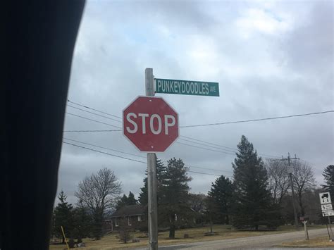 Found the most ridiculous street name yesterday. : r/funny