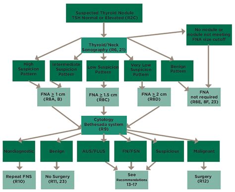 Figure 1. Algorithm for evaluation and management of patients with thyroid nodules based on US ...