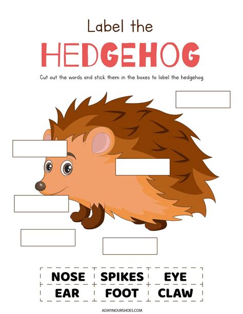 8 Free Hedgehog Worksheets | Printable