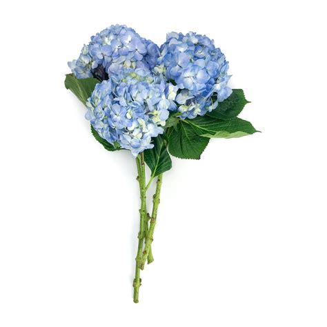 Blue And Green Hydrangea Bouquet