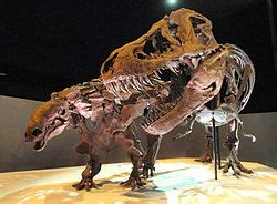 Denversaurus - Wikipedia