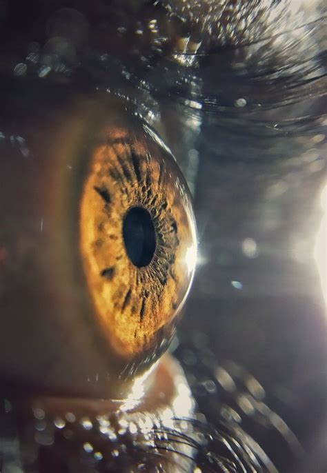 Ever seen the human eye this close| Micro lens photography ...