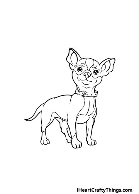 Chihuahua Drawing - How To Draw A Chihuahua Step By Step