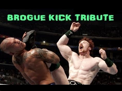 WWE Sheamus Brogue Kick Tribute HD (720p) - YouTube