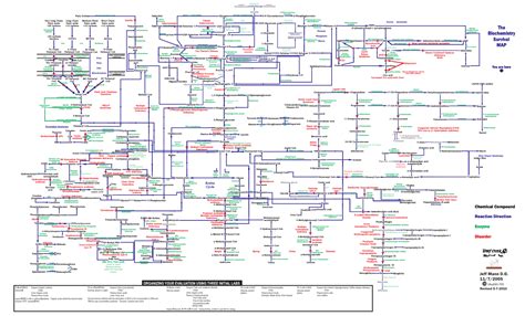 Which biochem pathways to put on Step1 Scratch paper | Student Doctor ...