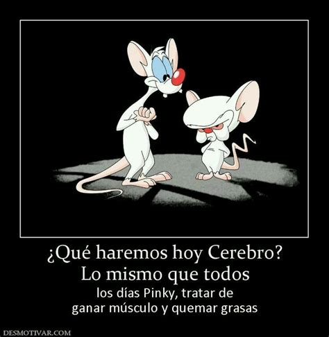 Pinky Y Cerebro Frases