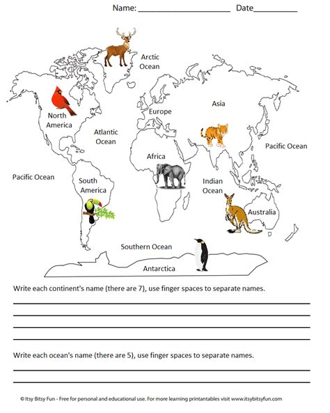 Animals And Their Continents Worksheet