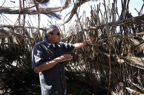 Cuyamaca faculty, students construct replica Kumeyaay village on campus - The San Diego Union ...