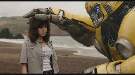 'Bumblebee' film review