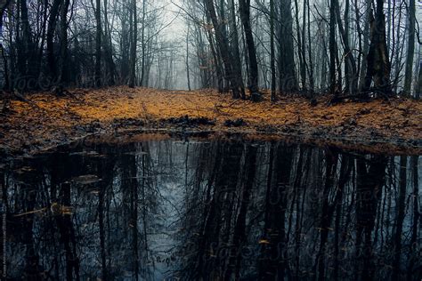 "Dark Lake In Mysterious Forest With Fog" by Stocksy Contributor "Cosma Andrei" - Stocksy