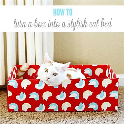 Turn an Ordinary Cardboard Box Into a Stylish DIY Cat Bed