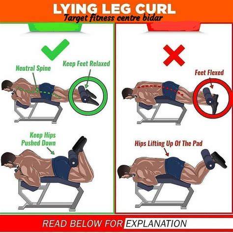 How to Lying Leg Curls | Fitness routinen, Beine workout, Fitnessübungen