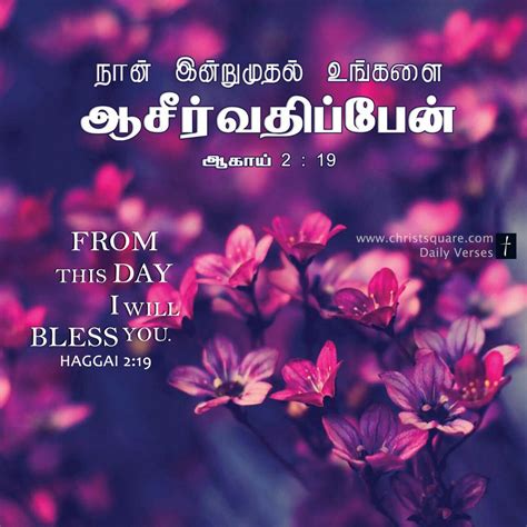 Blessing Bible Words In Tamil Images Hd - Euaquielela