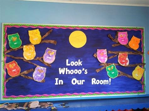 Owl classroom, Preschool bulletin boards, School art activities