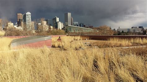 Community College of Denver - Green Roofs of Colorado