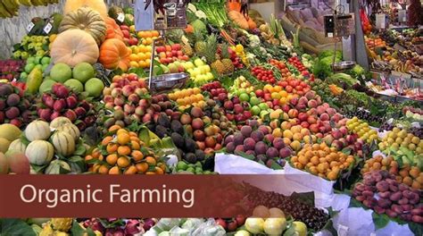 Organic Farming, Advantages and Objectives - The Mighty Earth