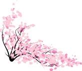 cherry blossom border free clip art 20 free Cliparts | Download images on Clipground 2024