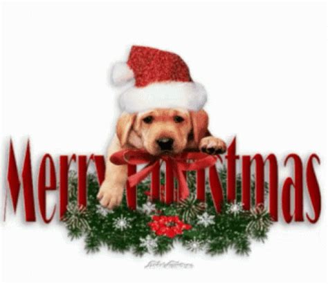 Merry Christmas GIF - Merry Christmas - Discover & Share GIFs