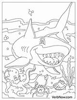 Free Sharks Coloring Pages sketch template
