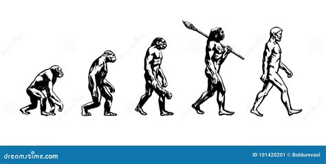 Evolution Of Man Image