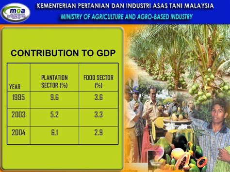 Overview Of Agriculture Sector In Malaysia