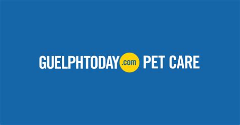 Guelph Pet Care - Guelph News