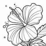 Hibiscus Flower Coloring Page  Pagescom sketch template