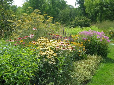 Northeast Ohio Nature: Butterfly Garden at The Holden Arboretum