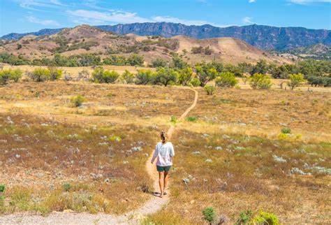 Guide To Visiting Ikara Flinders Ranges National Park