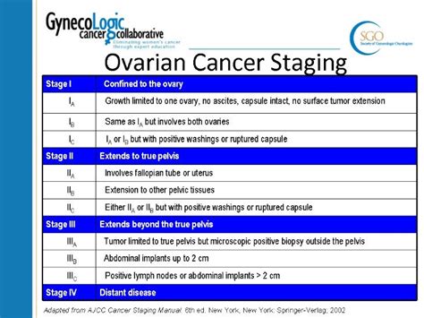 What's New in Ovarian Cancer Treatment