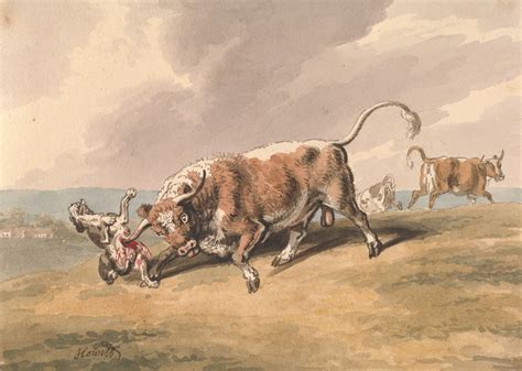 A Bull Attacking a Dog by Samuel Howitt - Artvee