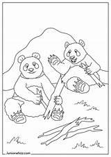 Panda Bear Coloring Pages And Book 12 Printable PDFs sketch template