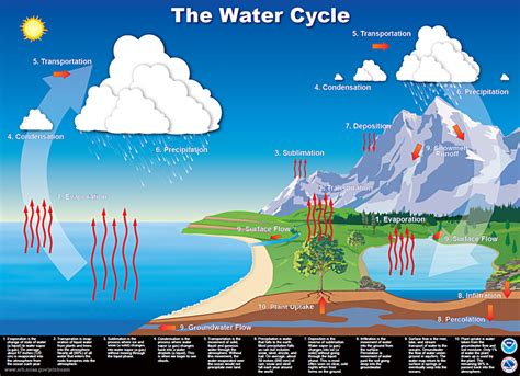 Clouds and Convection – Geophysical Fluid Dynamics Laboratory