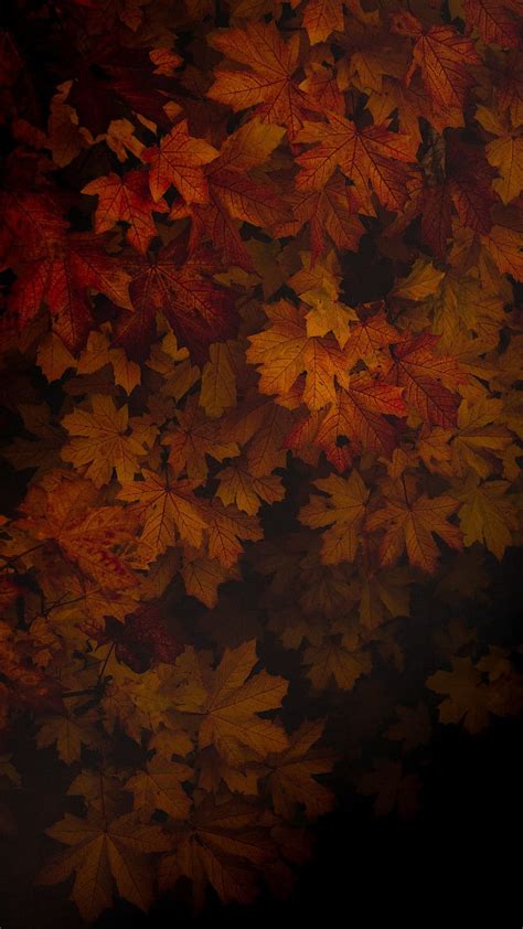 Share 61+ dark autumn wallpaper - in.cdgdbentre