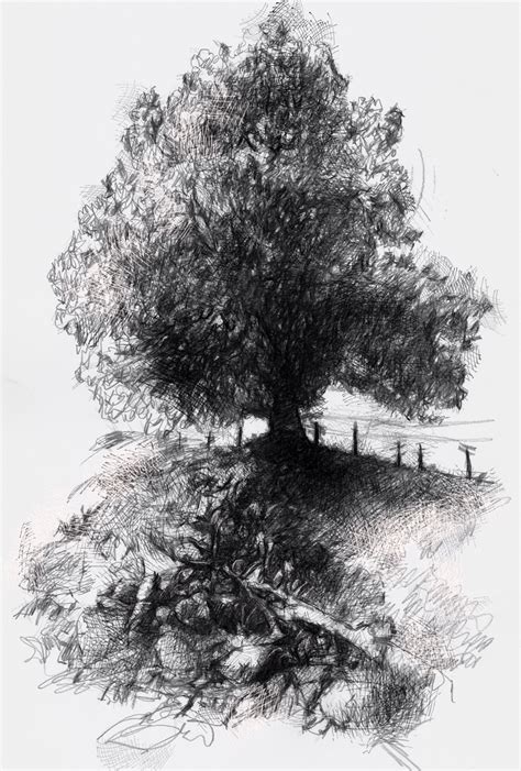 a black and white drawing of a tree on a hill with fence in the background