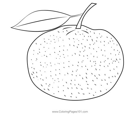 Fresh Mandarin Orange Coloring Page for Kids - Free Mandarin Orange Printable Coloring Pages ...