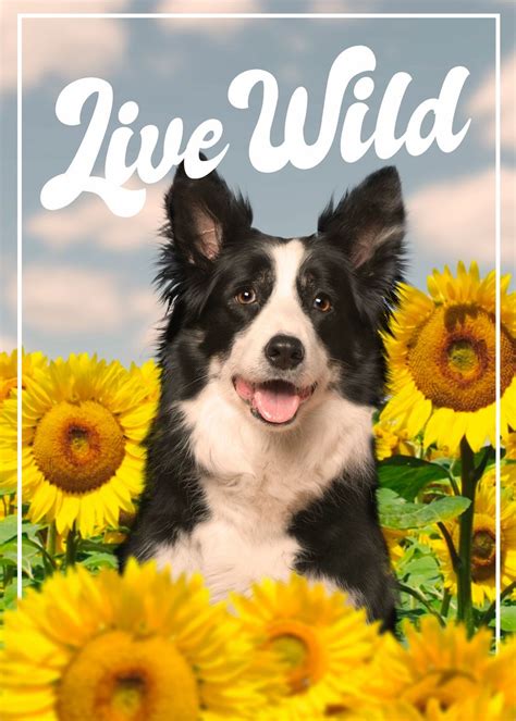 'Dog With Sunflowers' Poster by Cool Worker | Displate