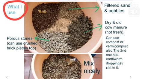 Bonsai Soil Mixture Recipe | Deporecipe.co