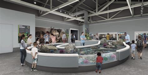 Oregon Coast Aquarium begins renovations to two exhibits and cafe next week • YachatsNews.com