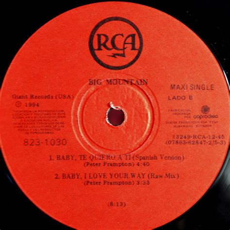 Big Mountain - Baby, I Love Your Way (1994, Vinyl) | Discogs