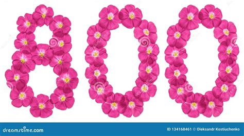 Arabic Numeral 800, Eight Hundred, From Pink Flowers Of Flax, Isolated On White Background Stock ...