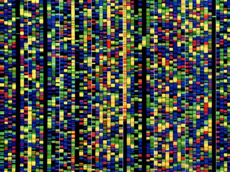 The Rise of DNA Data Storage | WIRED