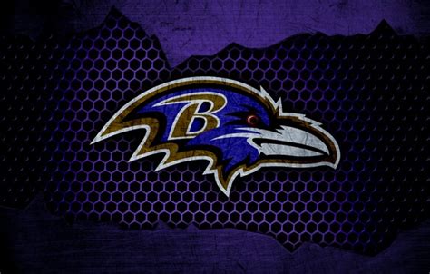 Wallpaper wallpaper, sport, logo, NFL, american football, Baltimore ...