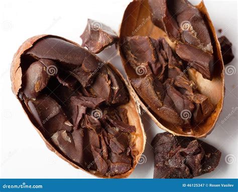 Raw cocoa beans stock image. Image of beans, deliciously - 46125347